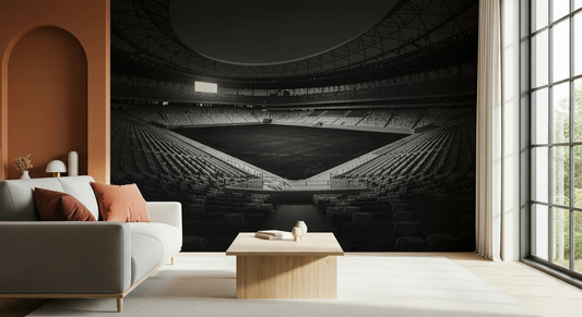 Fresque murale Stade en monochrome -2178152