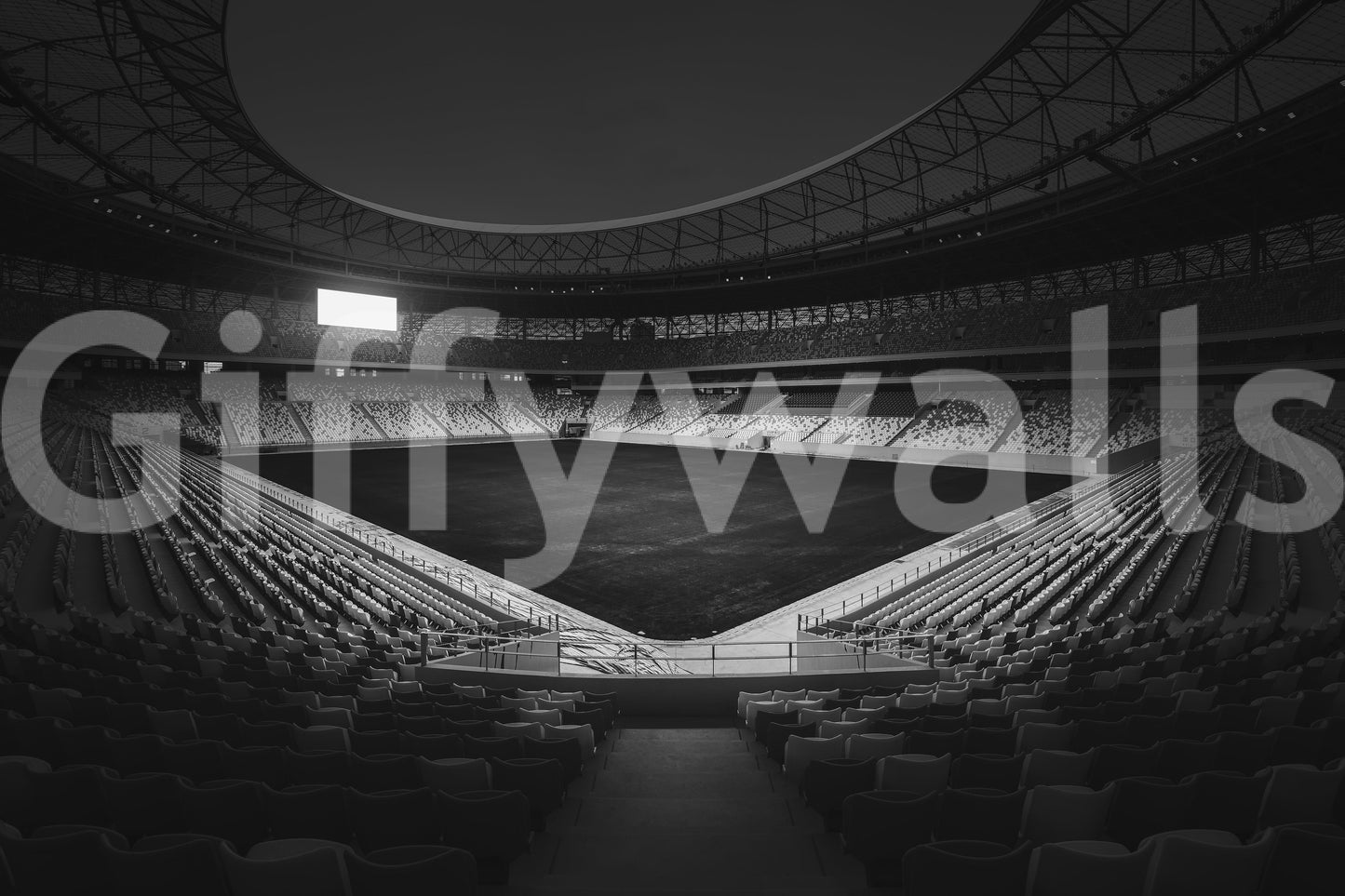 Stadium in Monochrome Wall Mural -2178152