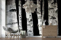 Abstract wall mural of woods; high-contrast grayscale birch trees.