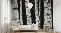 Stunning woods mural showcasing vertical birch trunks in monochrome.