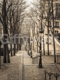Romantic Paris Wallpaper Elegant iron railing bordering a long walkway.