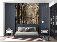 Montmartre Stairs Mural Charming urban view on a bleak winter day.