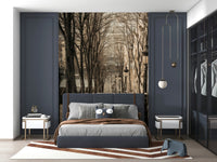 Montmartre Stairs Mural Charming urban view on a bleak winter day.