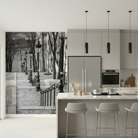 Montmartre steps Wall Mural