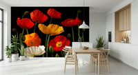 Vibrant floral wallpaper featuring bold poppy flowers in multiple colours with striking contrast.