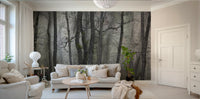 Mysterious Forest Landscape | Gray Trees in Atmospheric Stillness | Nature Photography Wall Mural