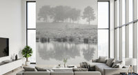 Mystical Reflections Wall Mural