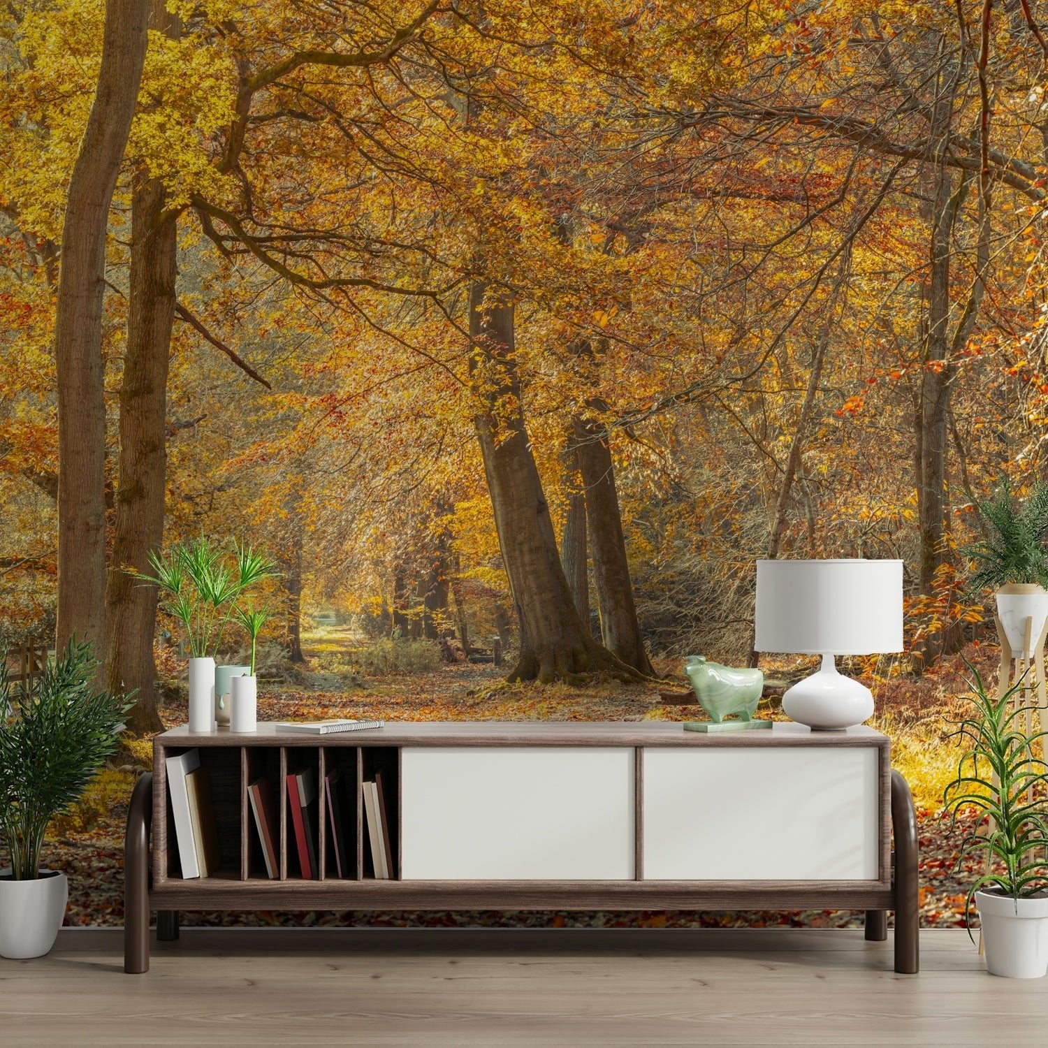 Bare branches and leafy ground
