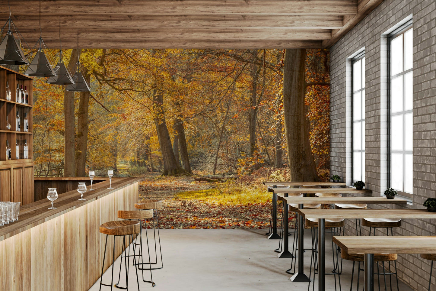 A peaceful and inviting natural setting
