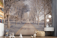 Scenic Nature's Corridor Wall Mural with symmetrical autumn trees.