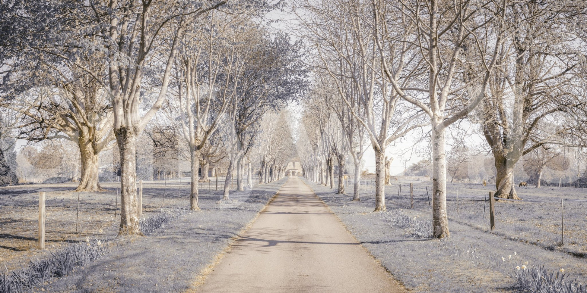 Serene landscape design featured on the Nature's Corridor Wall Mural.