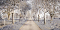 Serene landscape design featured on the Nature's Corridor Wall Mural.