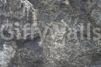 Nature rock wallpaper mural in lounge, modern decor with neutral color accessories