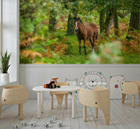 Wild horse in woods mural for dining space