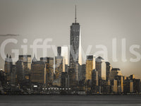 Cityscape Glow product capturing the immense scale of big apple.