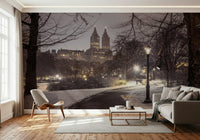 Cinematic view of Manhattan park Park Path at Night scene