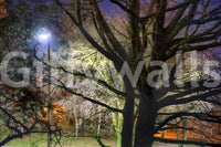 Dreamlike quality for home decor.

