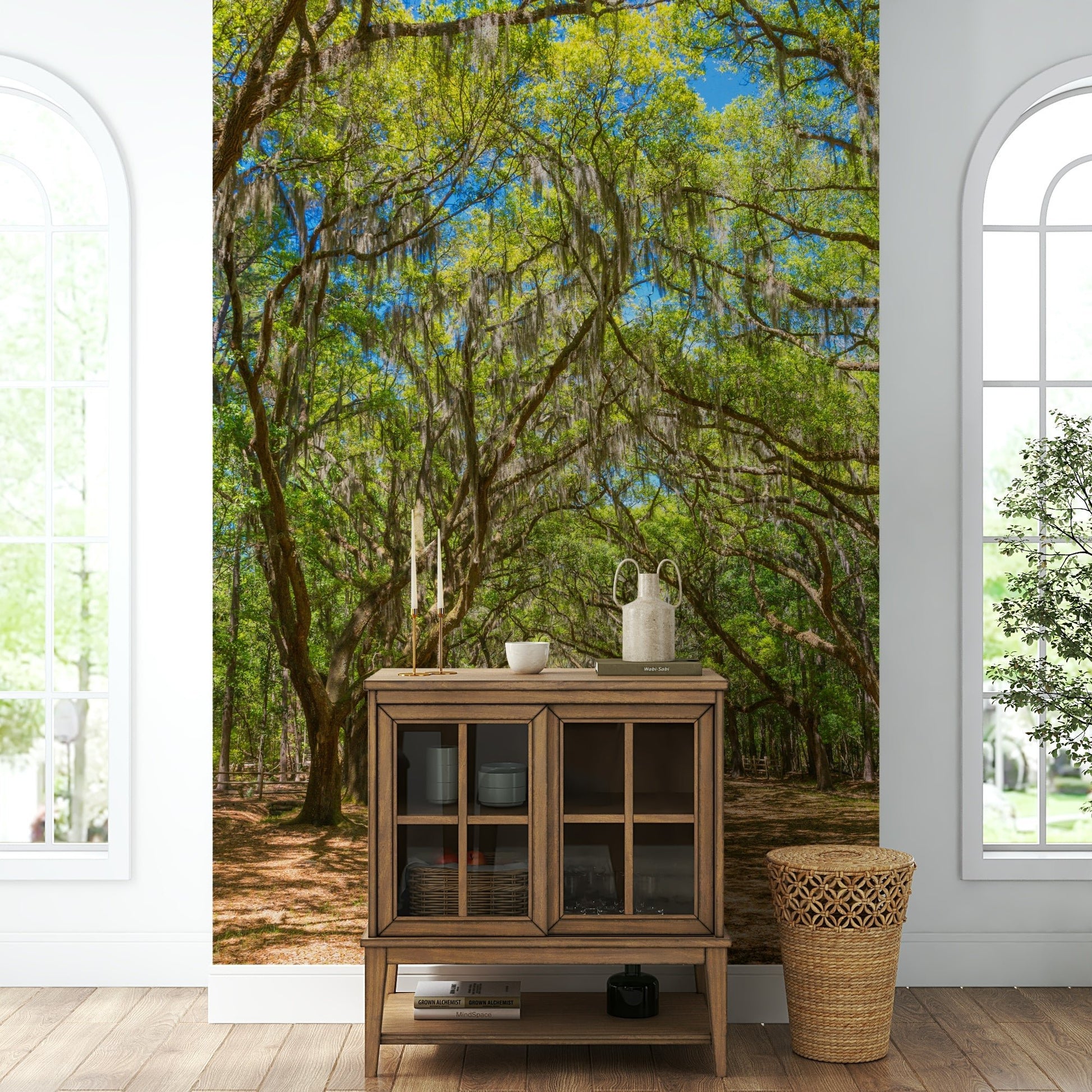 Tree tunnel wallpaper with oak trees
