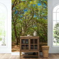 Tree tunnel wallpaper with oak trees
