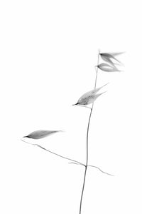 A detail of the organic shapes in the modern design.

