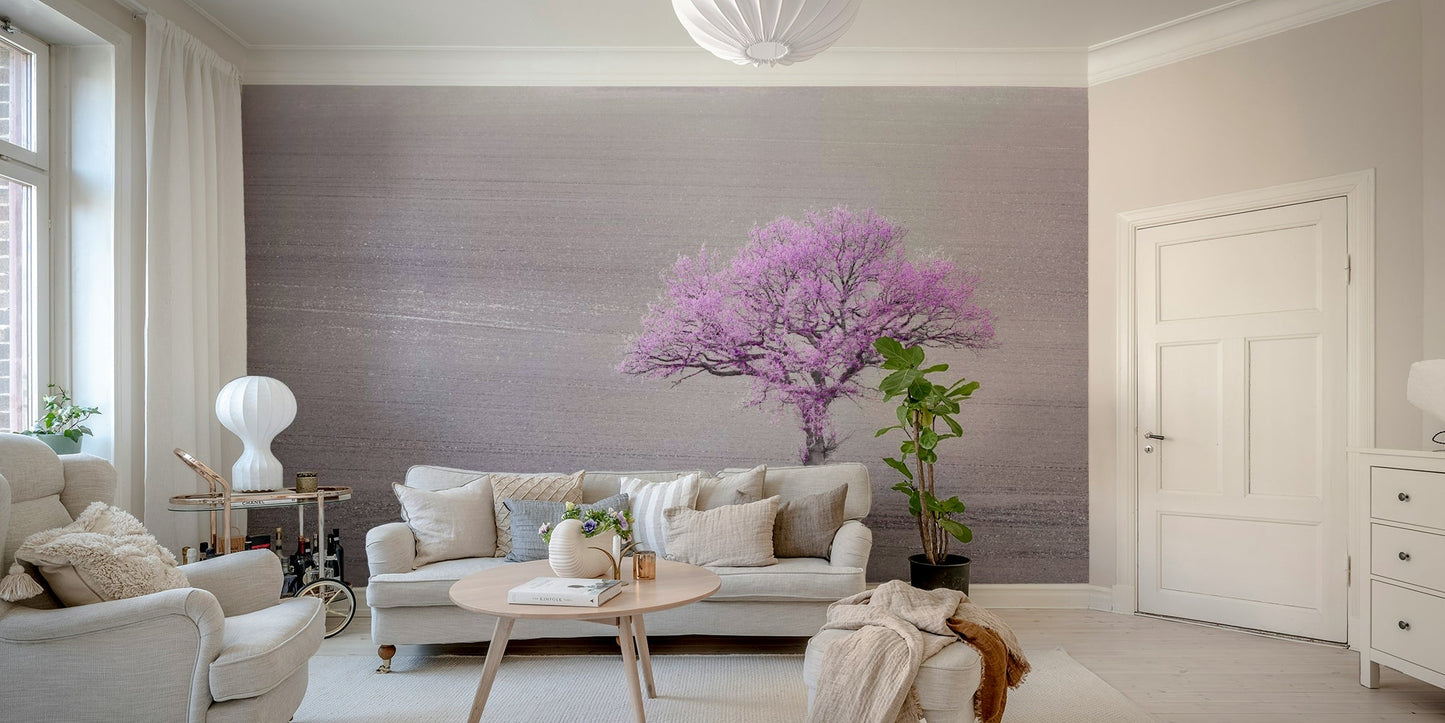 delicate orchid tree blossoms

