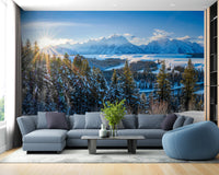 Wyoming Winter Wall Mural - Giffywalls