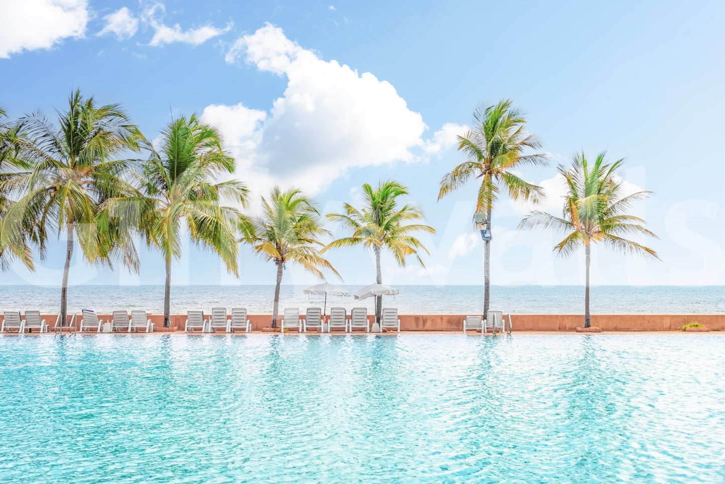 Palm Pool Escape Wall Mural