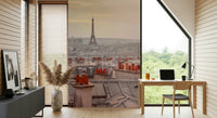 Elevated city perspective Parisian Rooftops wall mural focal point.