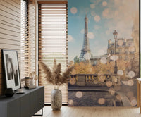 Parisian Light Wall Mural