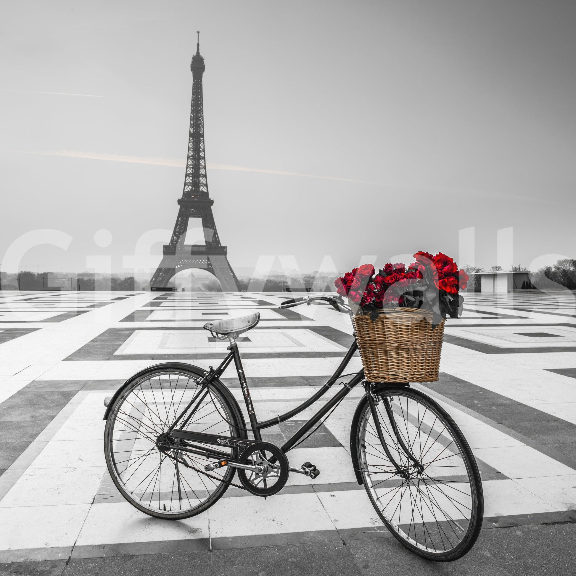 Grey sky contrast red petals on Parisian Love Story wallpaper for walls.