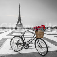 Grey sky contrast red petals on Parisian Love Story wallpaper for walls.