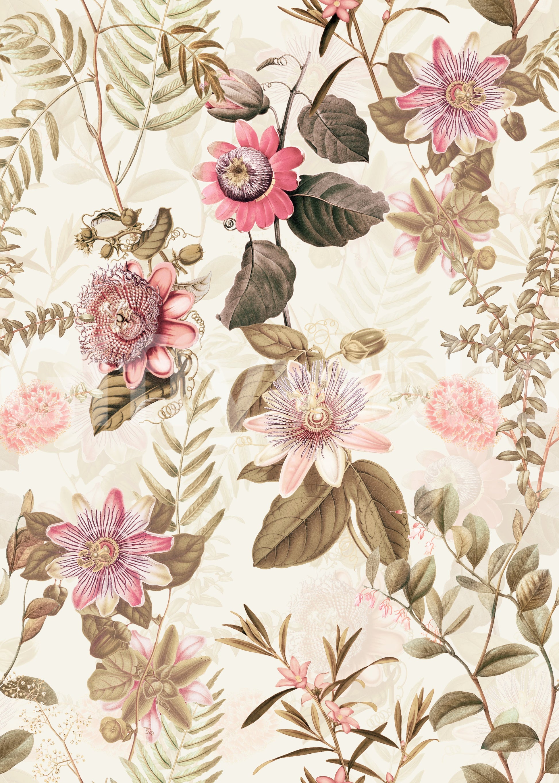 Colorful floral wallpaper mural with intricate passionflowers.

