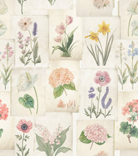Pastel Floral Botanical Collage Wallpaper⁠
