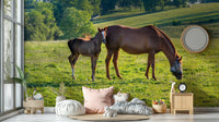 Pastoral Equine Duo Wall Mural