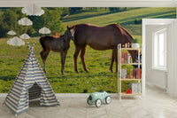 Pastoral Equine Duo Wall Mural