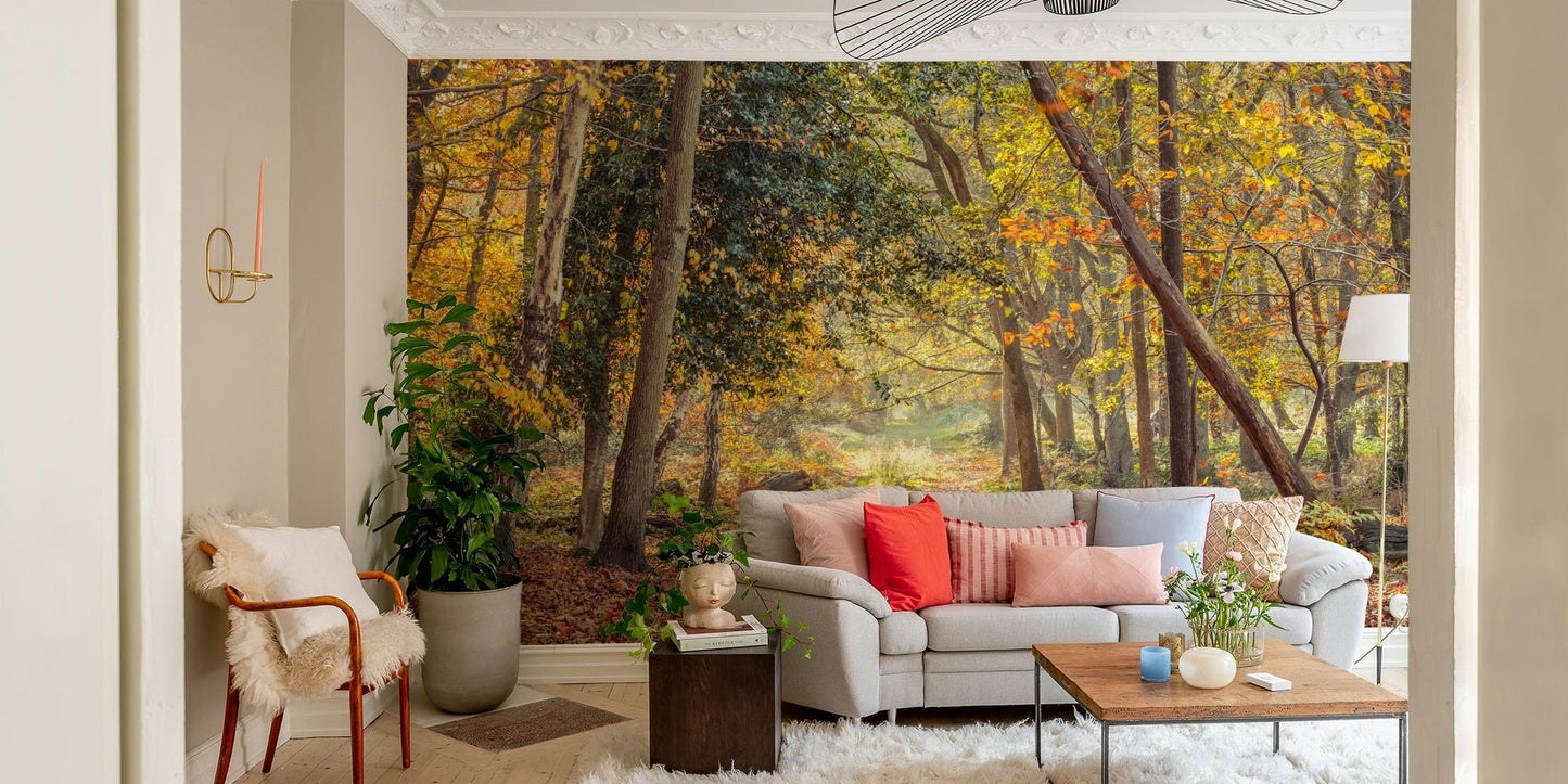 Fall woodland trail mural for a calming home design


