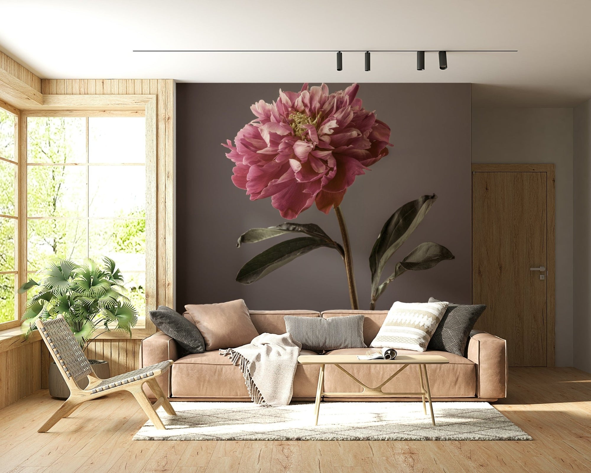 Peony Blush wall mural: Delicate pink bloom gracing gray background.