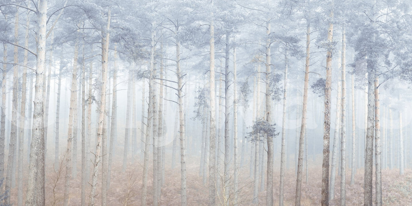Neutral color palette in the Pine Forest Serenity Wall Mural print.