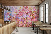 Close-up of pink flower blossoms.

