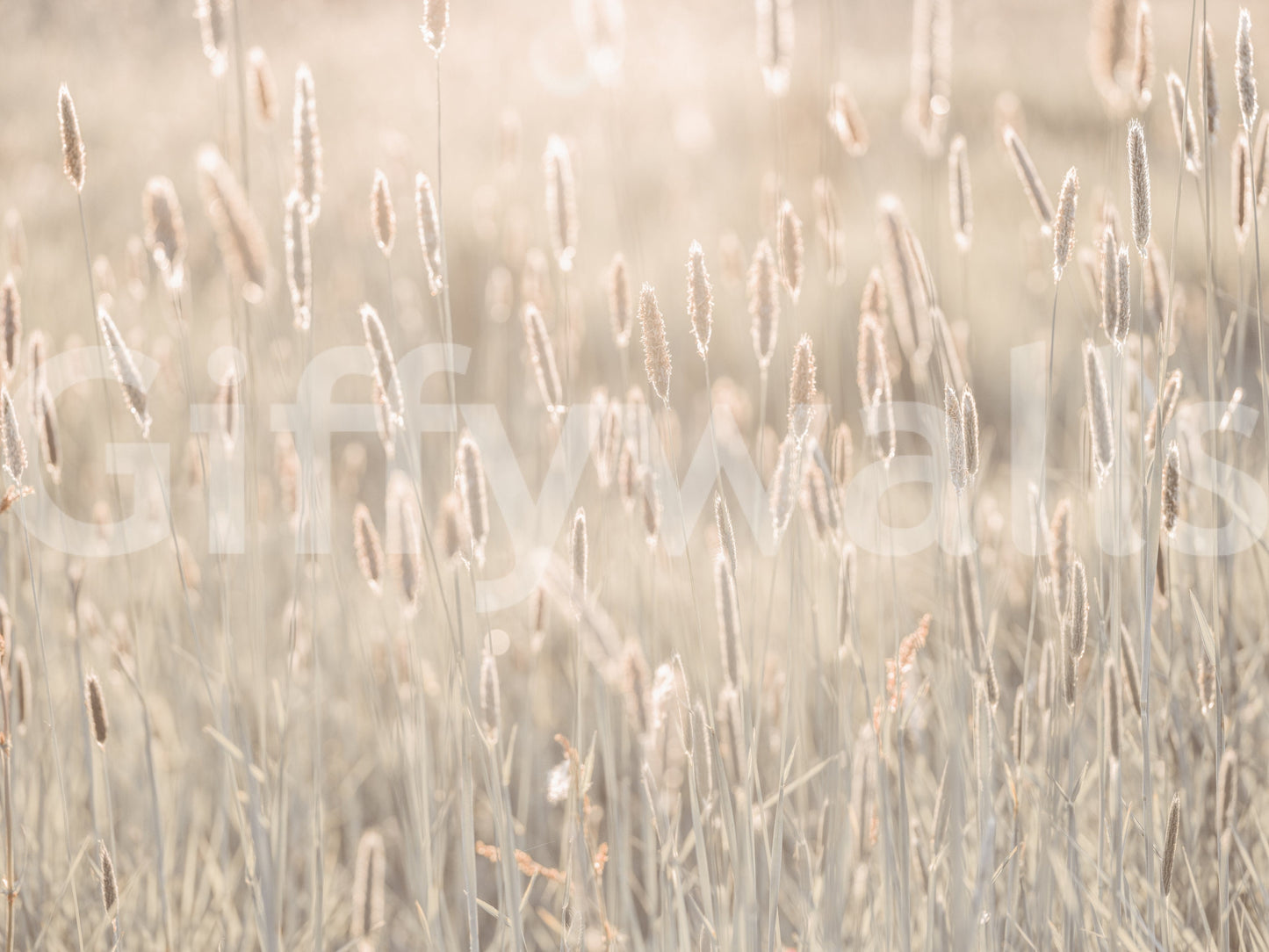 Nature's Bliss Wall Mural