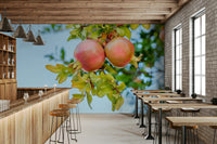 A beautiful wide-angle wall mural of an orchard.

