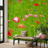 poppy meadow wall mural

