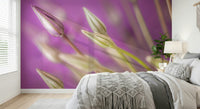A calming wallpaper showcasing slender allium buds set against a smooth purple background.