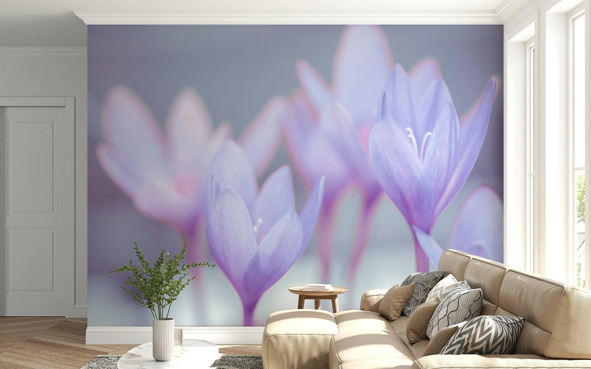 Spring flowers, gentle color graduation, sophisticated Crocus wallpaper product.