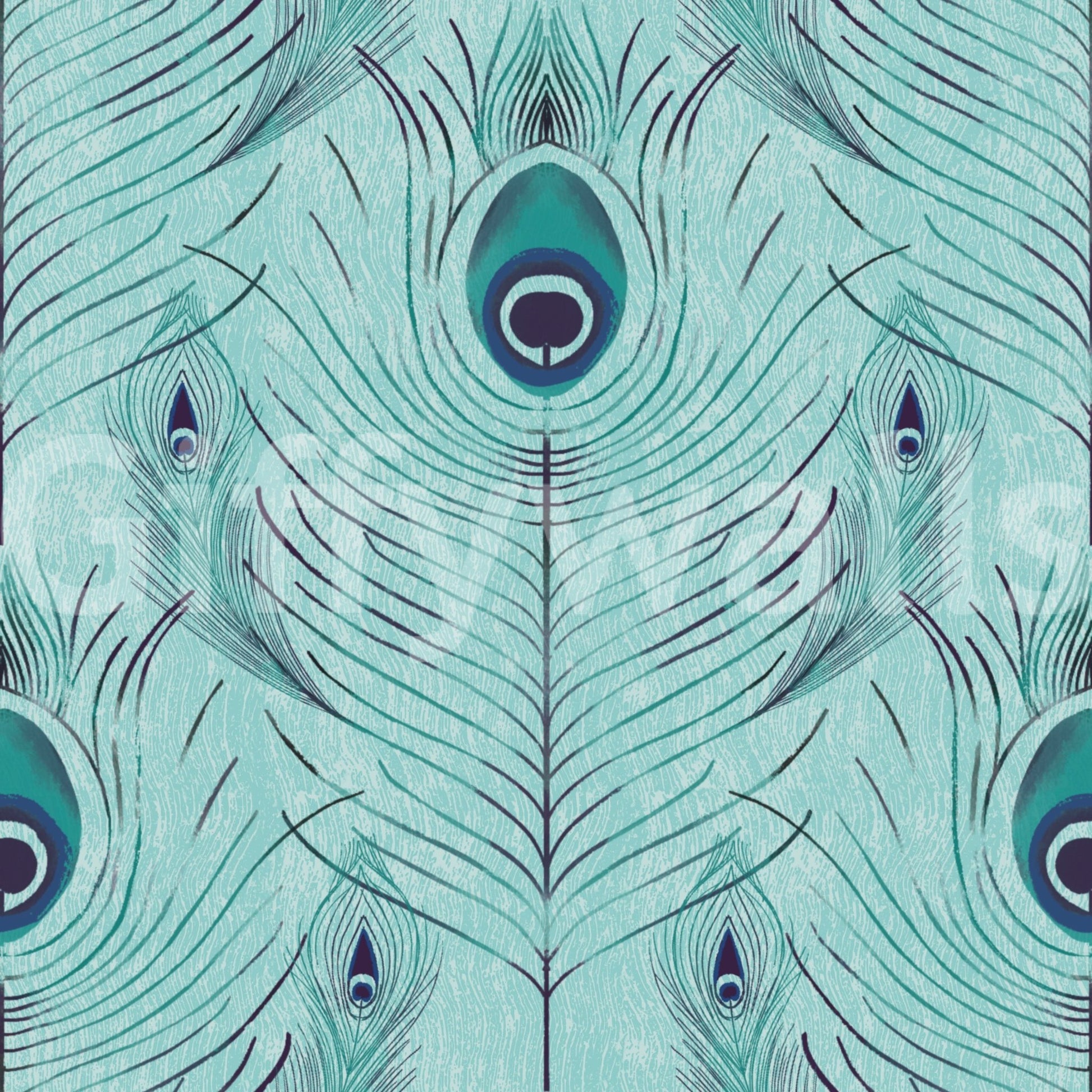 Artistic bird feather wallpaper

