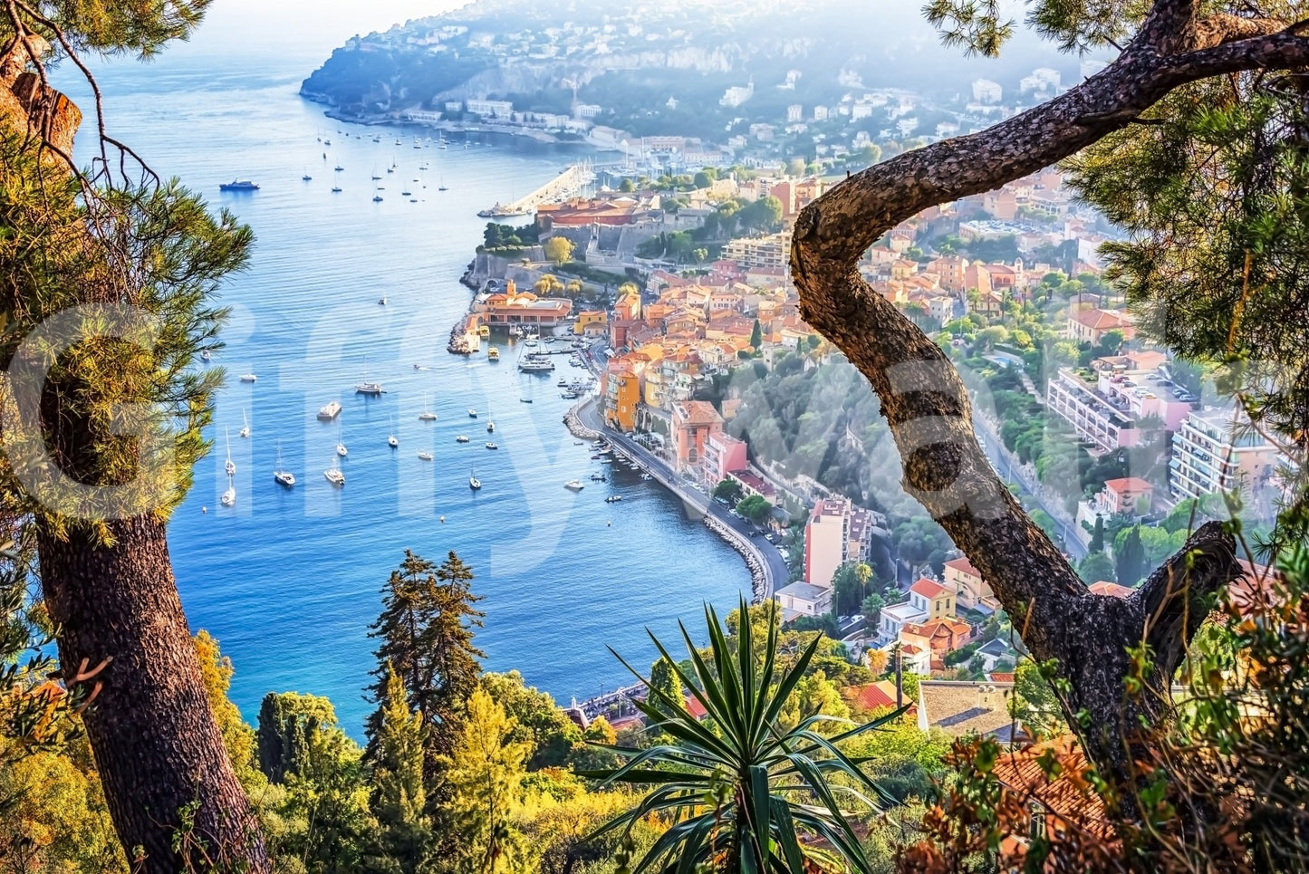 Riviera Vista Wall Mural