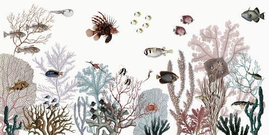 Colorful Reef wallpaper with white background