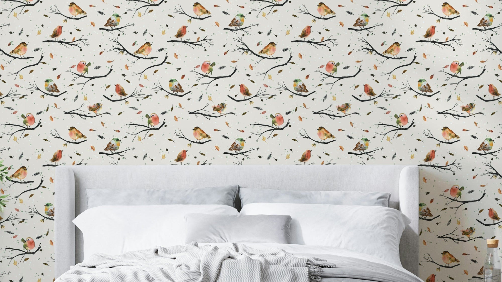 Robin red bird wallpaper on tree branches

