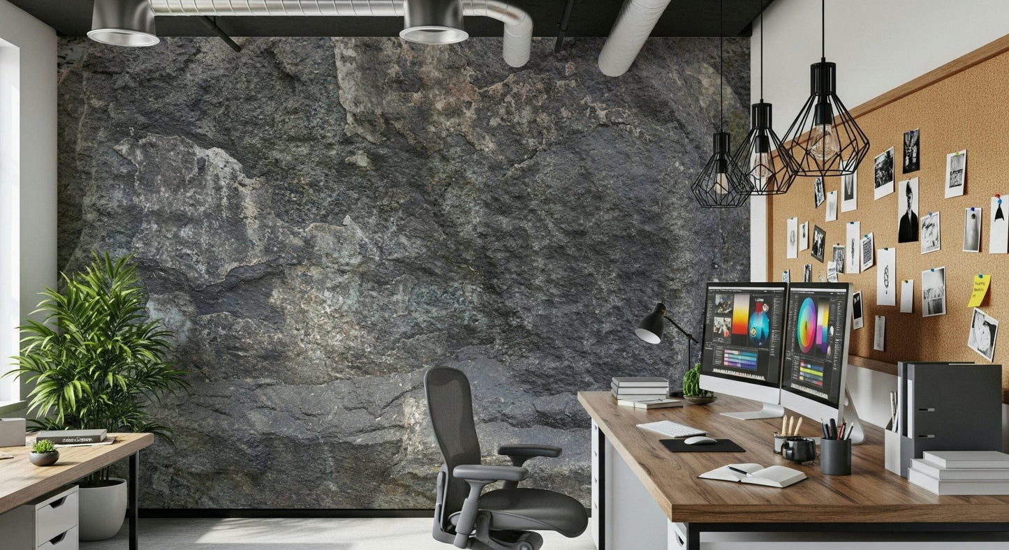 Rocky Surface Wall Mural -2566618