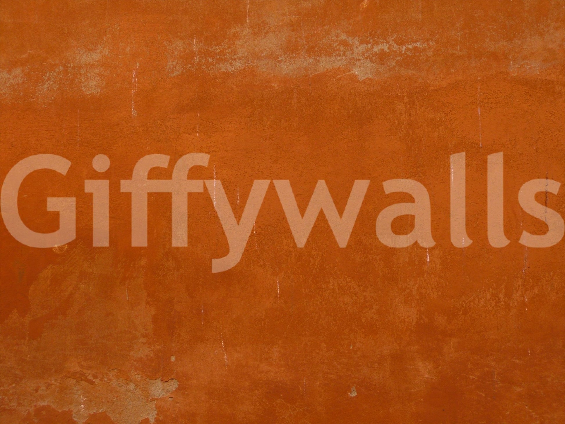 Roman Sall wall mural with subtle crackled plaster detail